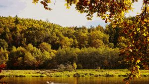 Preview wallpaper landscape, branches, pond, autumn, nature