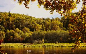 Preview wallpaper landscape, branches, pond, autumn, nature