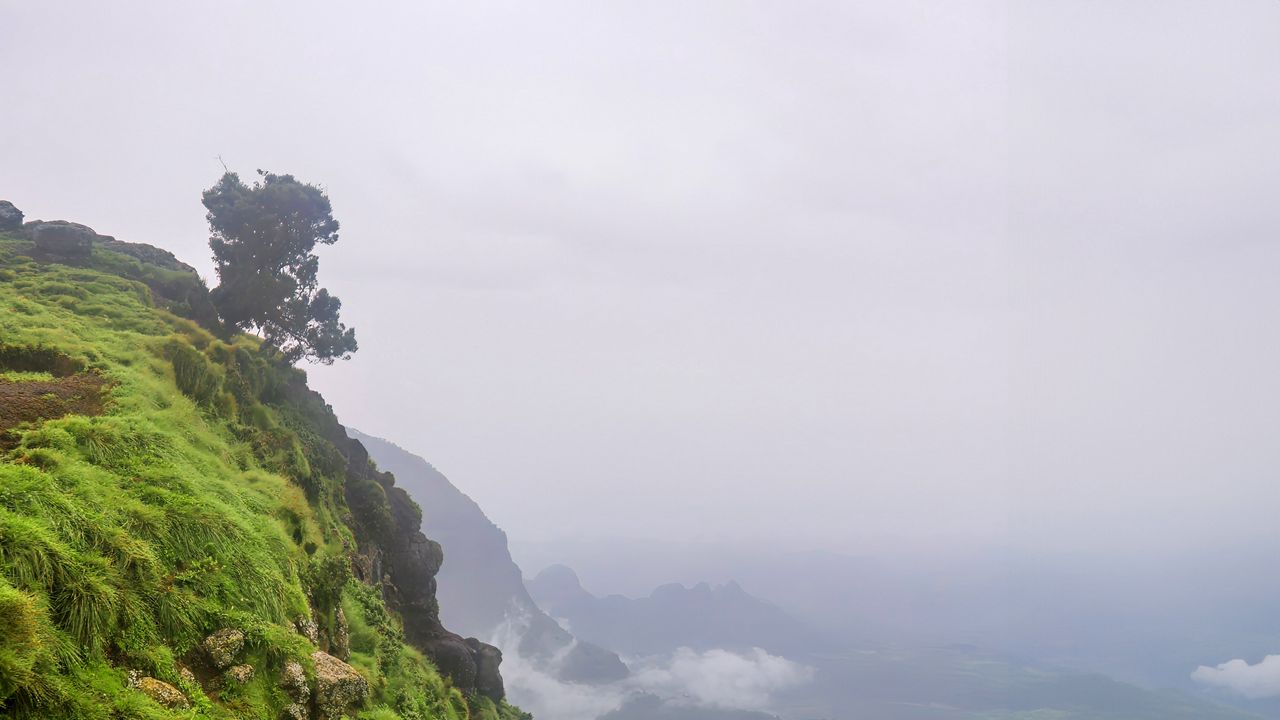 Wallpaper landscape, cliff, tree, grass, fog, nature