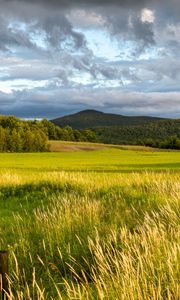 Preview wallpaper landscape, field, grass, hills, trees