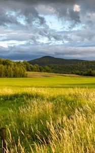 Preview wallpaper landscape, field, grass, hills, trees