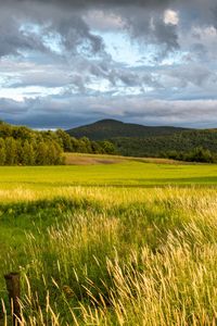 Preview wallpaper landscape, field, grass, hills, trees