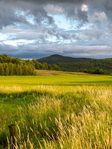 Preview wallpaper landscape, field, grass, hills, trees