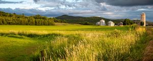 Preview wallpaper landscape, field, grass, hills, trees