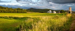 Preview wallpaper landscape, field, grass, hills, trees