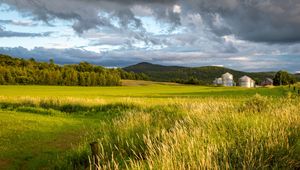 Preview wallpaper landscape, field, grass, hills, trees