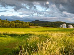 Preview wallpaper landscape, field, grass, hills, trees