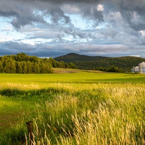 Preview wallpaper landscape, field, grass, hills, trees