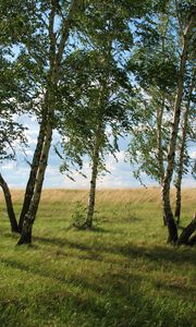 Preview wallpaper landscape, field, meadow, grass, green, summer, july, kazakhstan