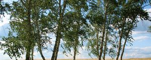 Preview wallpaper landscape, field, meadow, grass, green, summer, july, kazakhstan