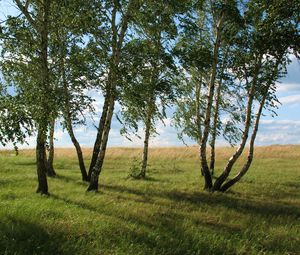 Preview wallpaper landscape, field, meadow, grass, green, summer, july, kazakhstan