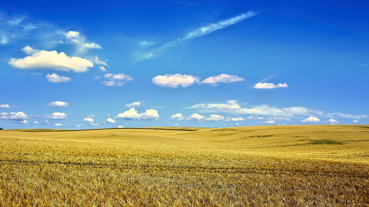 Wallpaper landscape, field, sky, clouds, grass, autumn