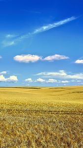 Preview wallpaper landscape, field, sky, clouds, grass, autumn