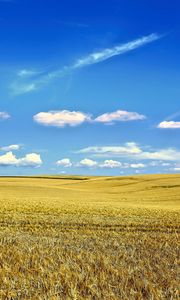 Preview wallpaper landscape, field, sky, clouds, grass, autumn