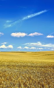 Preview wallpaper landscape, field, sky, clouds, grass, autumn