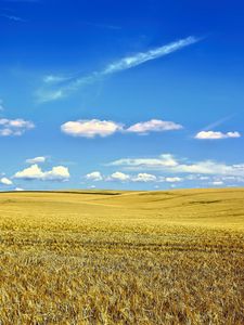 Preview wallpaper landscape, field, sky, clouds, grass, autumn