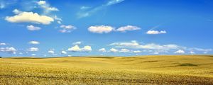 Preview wallpaper landscape, field, sky, clouds, grass, autumn