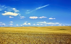 Preview wallpaper landscape, field, sky, clouds, grass, autumn