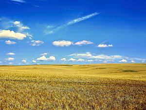 Preview wallpaper landscape, field, sky, clouds, grass, autumn