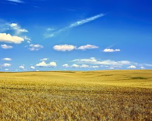 Preview wallpaper landscape, field, sky, clouds, grass, autumn