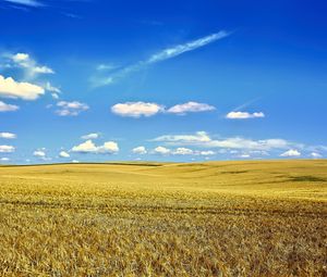 Preview wallpaper landscape, field, sky, clouds, grass, autumn