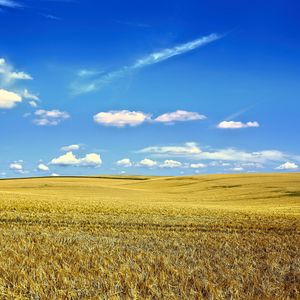 Preview wallpaper landscape, field, sky, clouds, grass, autumn