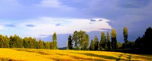 Preview wallpaper landscape, field, summer, trees, sky, clouds