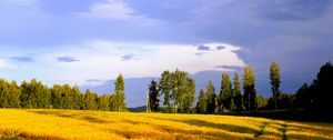 Preview wallpaper landscape, field, summer, trees, sky, clouds