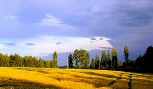 Preview wallpaper landscape, field, summer, trees, sky, clouds