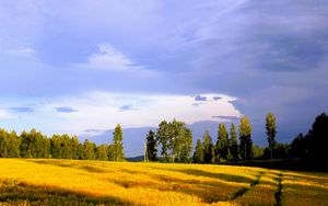 Preview wallpaper landscape, field, summer, trees, sky, clouds
