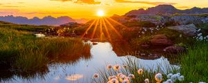 Preview wallpaper landscape, flowers, pond, sunrise, grass