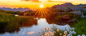 Preview wallpaper landscape, flowers, pond, sunrise, grass