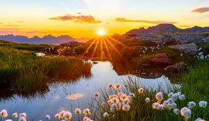 Preview wallpaper landscape, flowers, pond, sunrise, grass