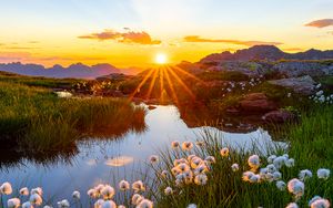 Preview wallpaper landscape, flowers, pond, sunrise, grass