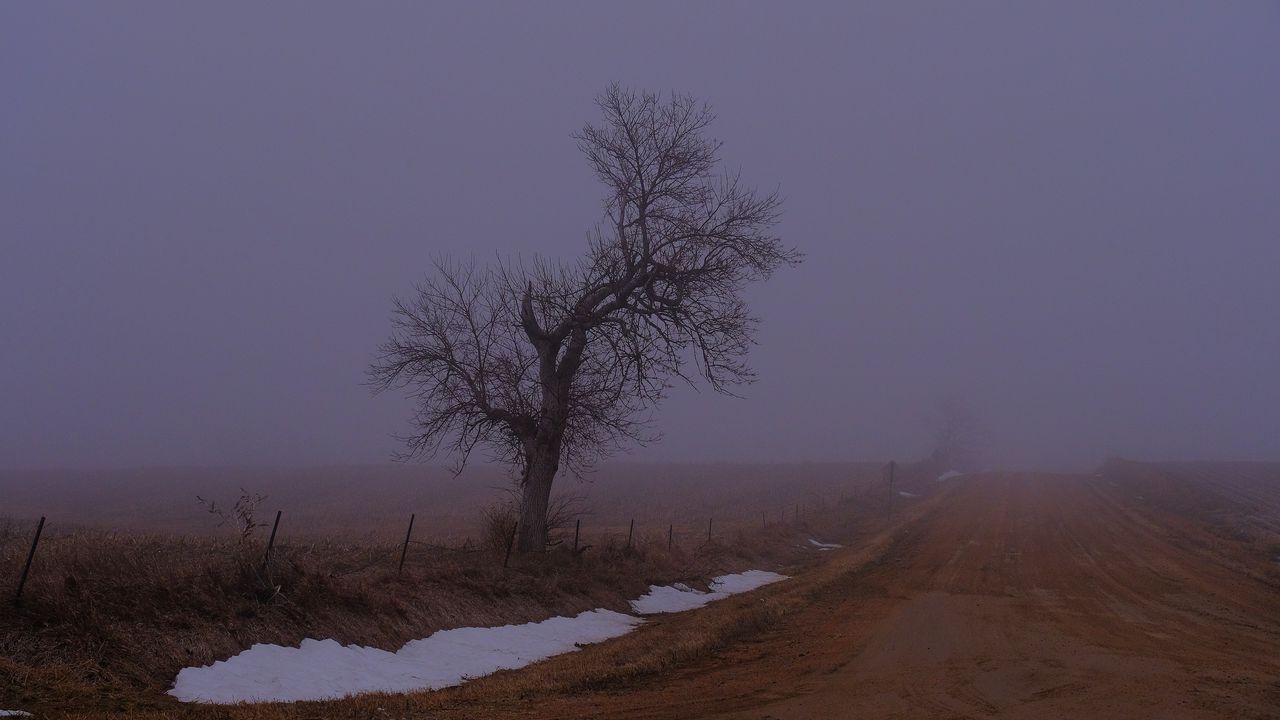 Wallpaper landscape, fog, tree, road, winter, snow, nature