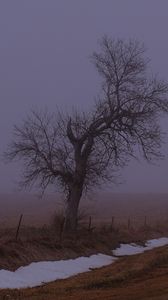 Preview wallpaper landscape, fog, tree, road, winter, snow, nature
