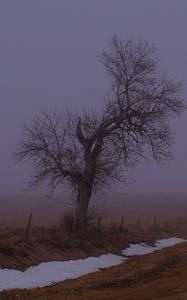 Preview wallpaper landscape, fog, tree, road, winter, snow, nature