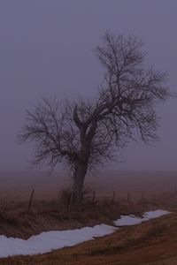 Preview wallpaper landscape, fog, tree, road, winter, snow, nature