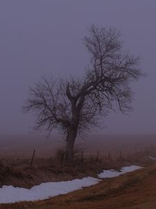 Preview wallpaper landscape, fog, tree, road, winter, snow, nature