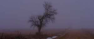 Preview wallpaper landscape, fog, tree, road, winter, snow, nature