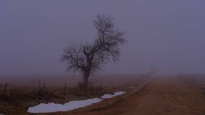 Preview wallpaper landscape, fog, tree, road, winter, snow, nature