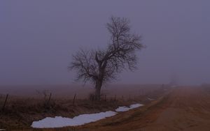 Preview wallpaper landscape, fog, tree, road, winter, snow, nature