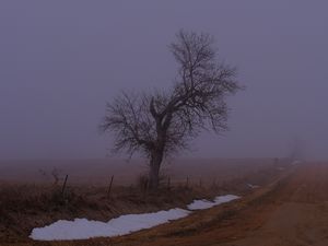 Preview wallpaper landscape, fog, tree, road, winter, snow, nature