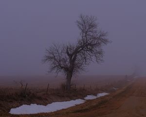 Preview wallpaper landscape, fog, tree, road, winter, snow, nature