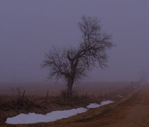 Preview wallpaper landscape, fog, tree, road, winter, snow, nature