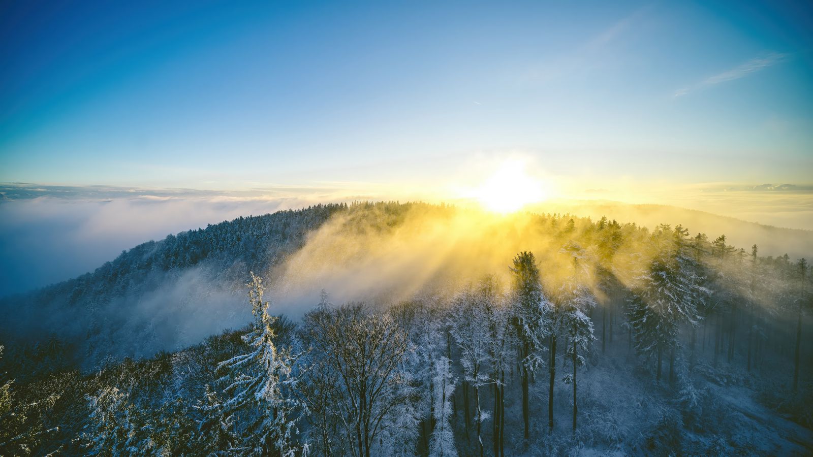 1600x900 Wallpaper landscape, forest, mountain, sun, winter, light