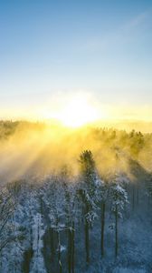 Preview wallpaper landscape, forest, mountain, sun, winter, light