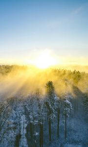 Preview wallpaper landscape, forest, mountain, sun, winter, light