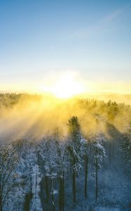 Preview wallpaper landscape, forest, mountain, sun, winter, light