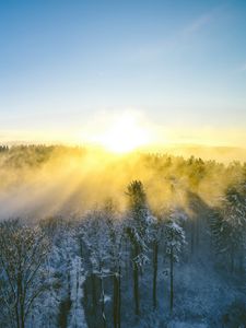 Preview wallpaper landscape, forest, mountain, sun, winter, light